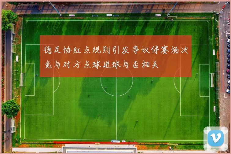 德足协红点规则引发争议停赛场次竟与对方点球进球与否相关