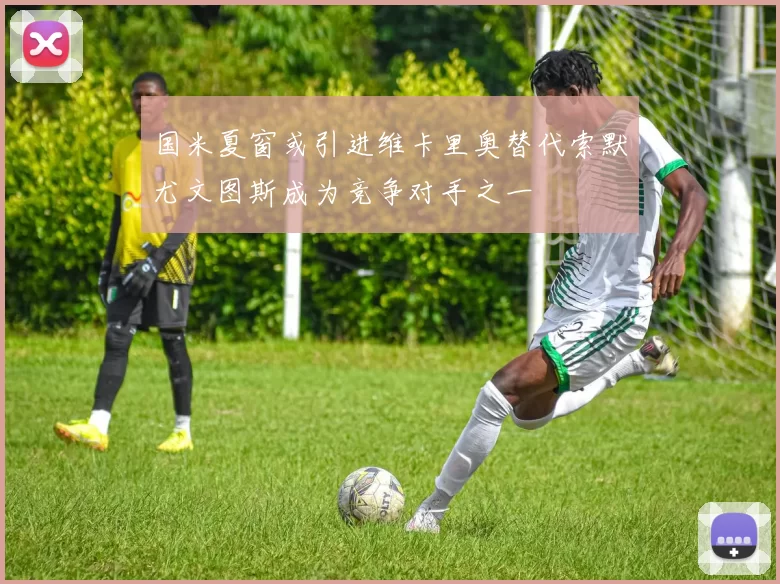 国米夏窗或引进维卡里奥替代索默尤文图斯成为竞争对手之一